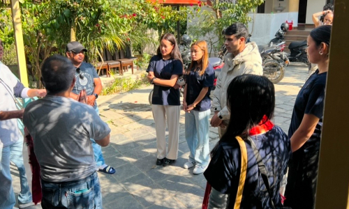 海外人材支援事業